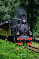 Detailed front of vintage steam locomotive in sunny woodland. © Trygve