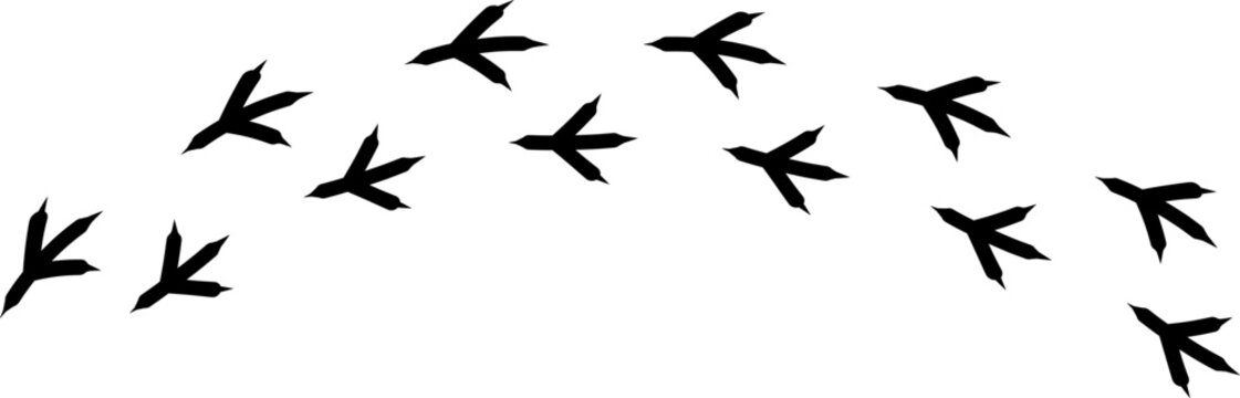 Bird footprint icon, chicken paw vector track, turkey foot print line pattern