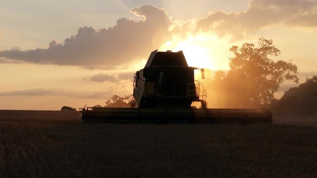 Combine harvester backlit by sunset in field