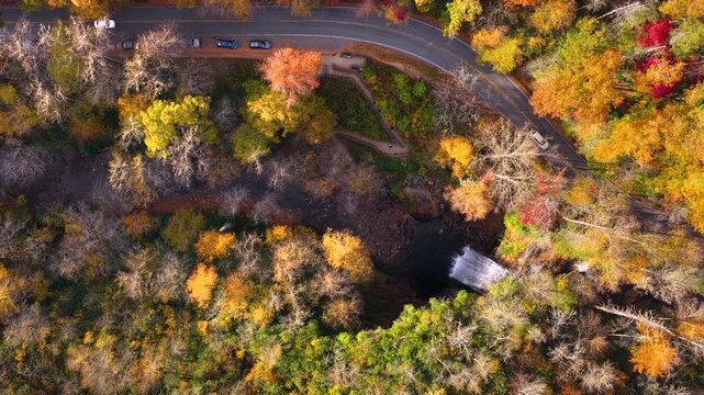 Forest Heritage Scenic Byway and Looking Glass Falls with visitors on the overlook. Cars driving along the scenic roadway through colorful autumn forest.