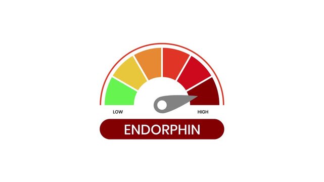 Endorphin levels indicator flat animation isolated on white backgorund