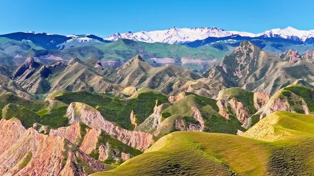 Aerial view of colorful danxia mountains with layered ridges, green vegetation, and snow-covered peaks beneath a clear blue sky in bright sunlight.