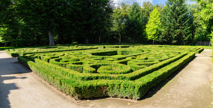 Trimmed boxwood bushes in an old garden	