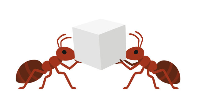 Two red ants working together carrying a single white sugar cube across a flat surface, teamwork concept with bold flat colors on clean white background, vector illustration