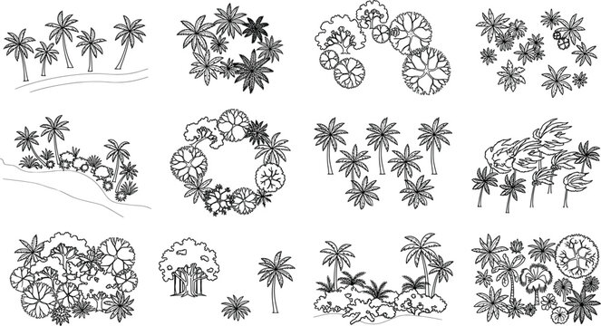 Collection of tropical landscape design elements and palm tree top view symbols isolated on white background