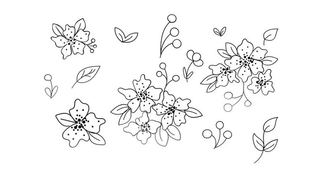 Hand drawn floral animation featuring blossom elements and decorative leaves in a simple line motion clip