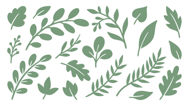 Whimsical Hand-Drawn Sage Green Botanical Doodle Collection - Playful Leaves Branches and Nature Elements Vector Illustration Set on Clean White Background - detailed commercial stock imagery with