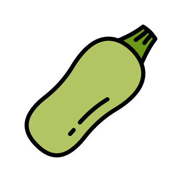 Green zucchini vegetable icon with dark green stem on white background. Flat design vector illustration. Food and vegetable concept for design and print