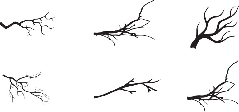 Bare tree branch silhouettes, set of 6 black wood limb vectors, spooky leafless twigs for winter and halloween design
