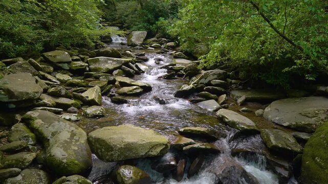 Picturesque waterfall flowing through rocky forest terrain, surrounded by dense trees, green vegetation and refreshing natural scenery in summer season.