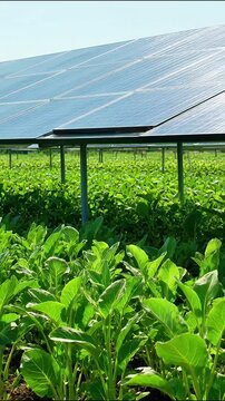 Solar panels providing sustainable clean electricity over vibrant green field vegetation in motion video clip