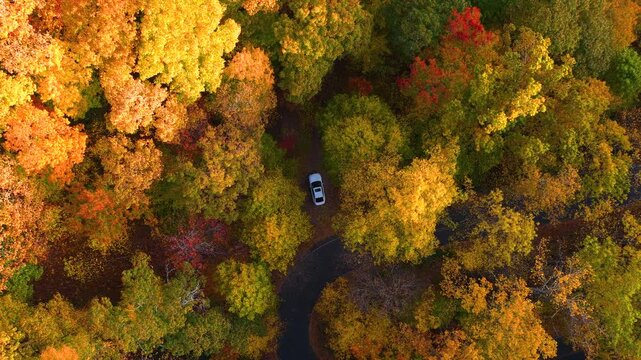 Quiet observation area with a parked vehicle overlooking picturesque autumn scenery. Vibrant seasonal colors create a relaxing outdoor landscape.