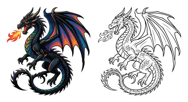 Detailed dragon illustration with vibrant colors and a monochrome line art version