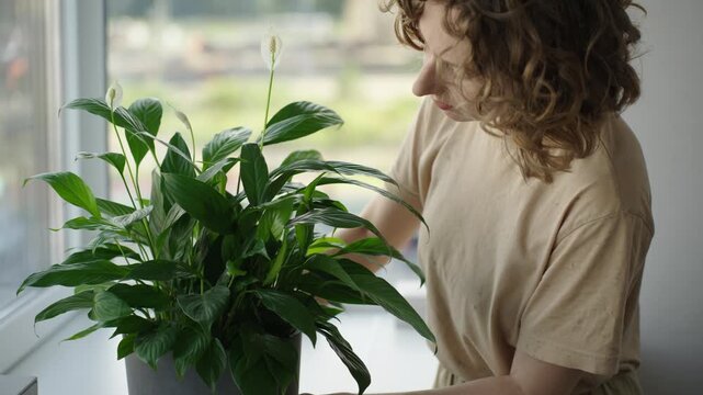 Medium close up of a woman inspecting and gently touching the leaf and bloom of a peace lily Natural window light sculpts hair and foliage textures The clip shows careful plant care a tactile moment a