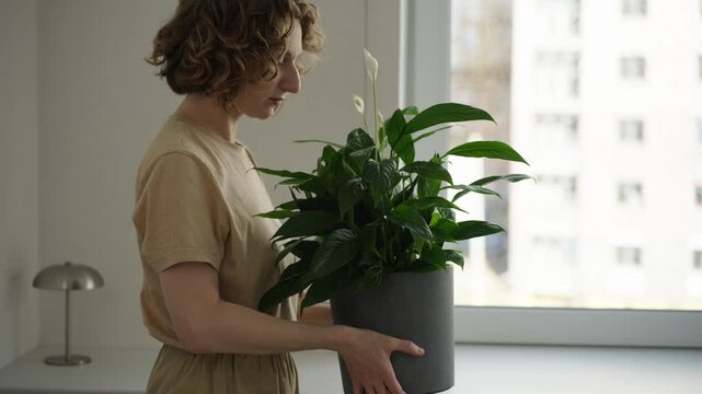 Woman moving a potted peace lily from one spot to another on a bright windowsill. Natural window light highlights leaf texture and hair details, the scene shows a quiet everyday moment of indoor plant