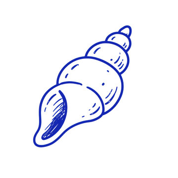 Spiral Seashell Doodle Illustration for Mediterranean Beach Summer and Coastal Designs
