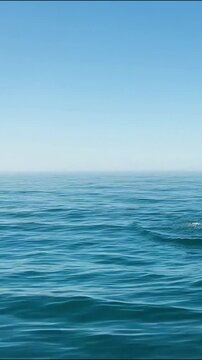 Majestic blue ocean waves surging with natural motion in this serene horizontal wide cinematic video clip