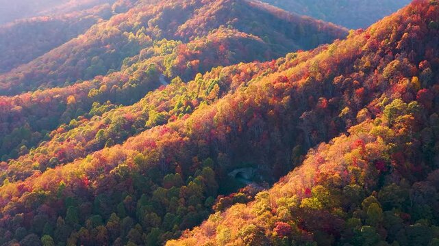 Road trip on Blue Ridge Parkway through Appalachians of North Carolina at sunset. Mountain tunnel surrounded by fall seasonal forest and colorful hills.