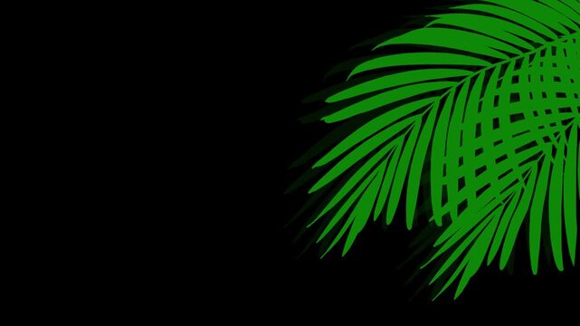 Animated tropical palm leaves swaying gently against black backdrop for summer vacation overlays nature motion graphics and minimalist botany design concept loop.