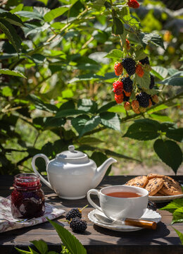 Morning tea setup with fresh blackberries and cookies in garden