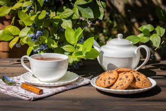 Enjoying a relaxing tea break with cookies outdoors