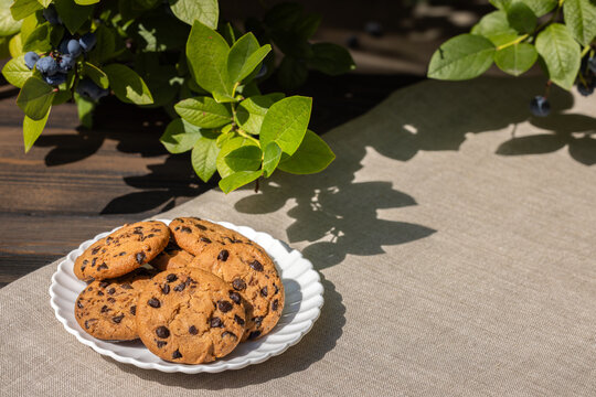 Chocolate chip cookies on plate outdoor with blueberries