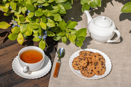 Relaxing outdoor tea time with cookies and blueberries