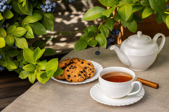 Outdoor tea time with cookies and blueberries