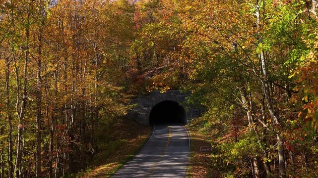 Road tunnel cutting through forested hillside during autumn. Colorful trees line winding highway beneath vibrant seasonal foliage.