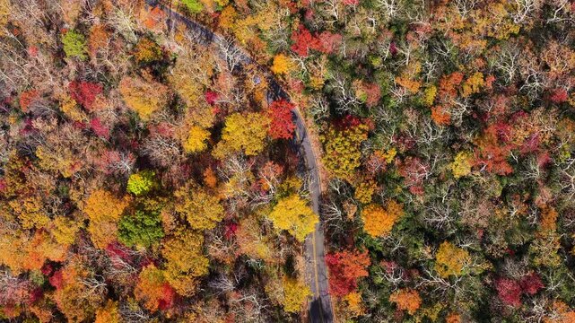 Scenic car drive at autumn landscape in North Carolina mountains. Fall colors stretch across hillsides along quiet mountain road.