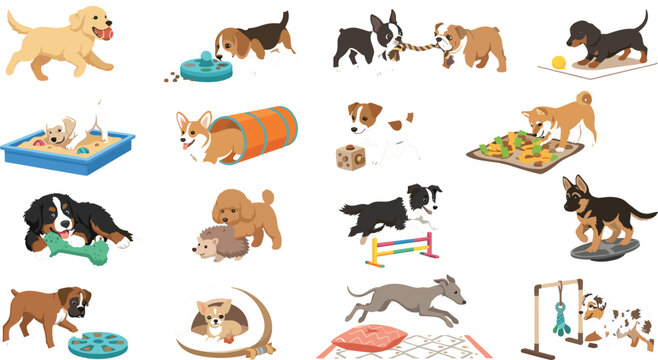Dog enrichment activities and interactive brain games set featuring puzzle feeders snuffle mat agility tunnel tug of war chewing toys and obstacle balance training vector illustration
