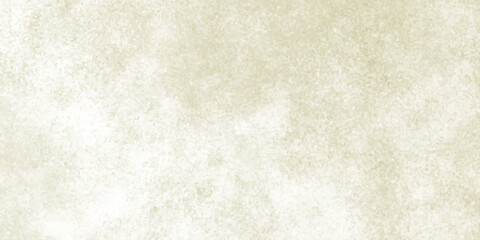 Obraz premium Subtle textured background with a pale cream and light beige hue, reminiscent of aged parchment or a soft watercolor wash, creating a gentle and organic feel.