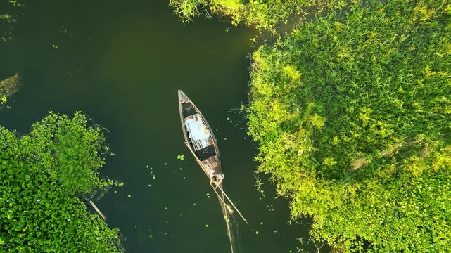Top down aerial view of wooden boat rowing through green water hyacinth, drone footage