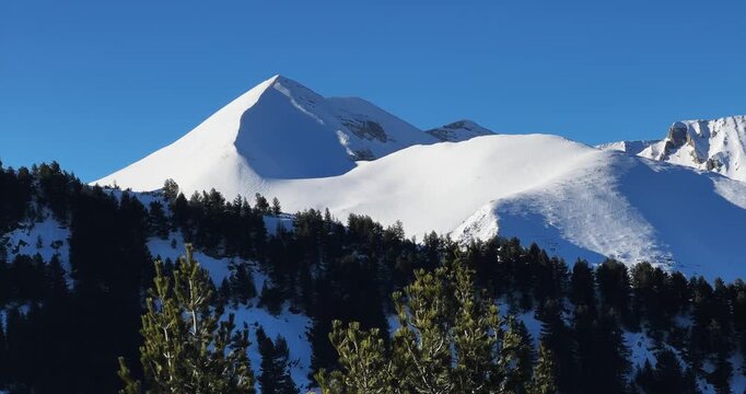 Vihren peak at Piring mountain range visible in the background with a few trees in the foreground. The sky is clear and blue, and the trees are covered in snow. The scene is peaceful and serene
