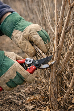 Hands holding pruning shears and handsaw, cutting down overgrown weeds and dead branches in garden.