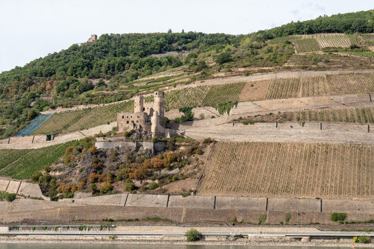 Der M&auml;useturm bei Bingen am Rhein mit Weinbergen und Burgruine Ehrenfels