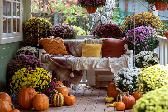 Cozy autumn porch with colorful chrysanthemums, pumpkins and swing bench