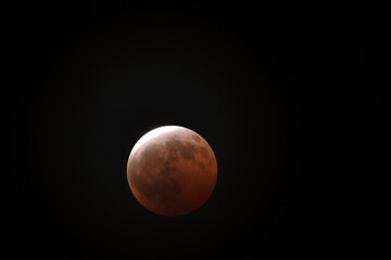 red moon eclipse © carmelo