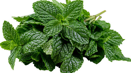 Isolated fresh green mint leaves, a vibrant aromatic herb for cooking, garnishing, and refreshing drinks. © Francisco