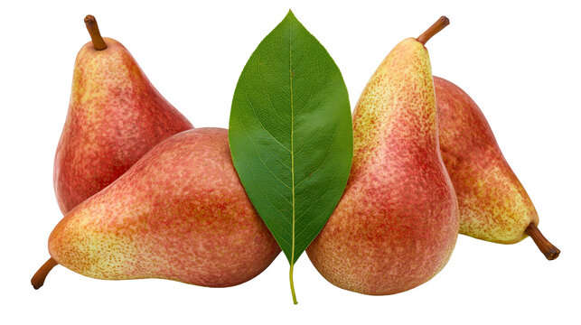 Isolated fresh ripe red pears arranged with a vibrant green leaf, natural organic autumn fruit.