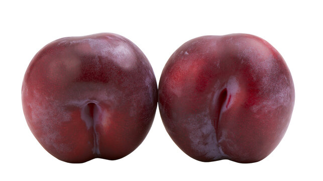 Isolated fresh ripe plums, two organic dark red-purple fruits, healthy sweet and juicy snack