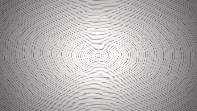 Abstract circular concentric rings or wood grain pattern in thin grey lines on a light grey background, minimalist geometric circular texture