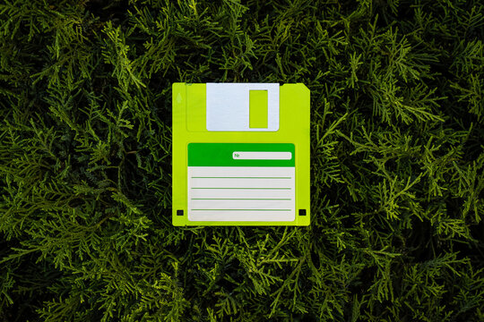 Green floppy disk on green branches