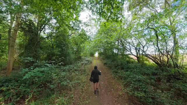 Person walks along a narrow forest path