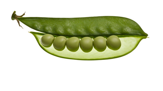 Isolated fresh green pea pod with five peas inside, vibrant and healthy vegetable food.