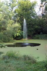Alter Schlossweiher in Heusenstamm © Fotolyse