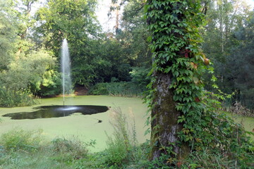 Alter Schlossweiher in Heusenstamm © Fotolyse