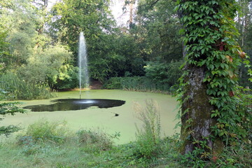 Alter Schlossweiher in Heusenstamm © Fotolyse