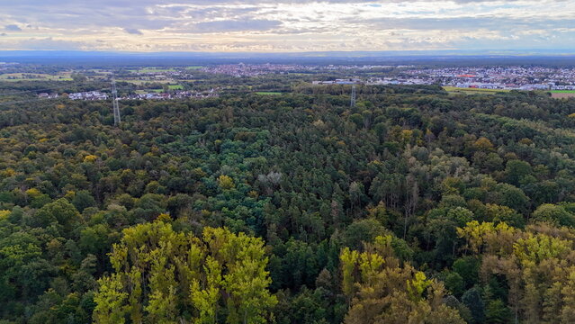 Wald bei Dietzenbach