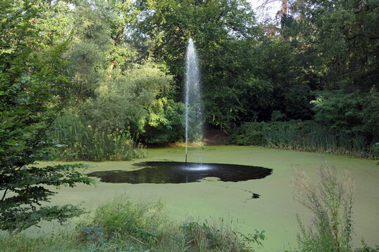 Alter Schlossweiher in Heusenstamm